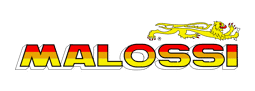 Alle Produkte von Malossi Bilder für Hersteller Malossi