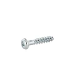 Zeige Details für Karosserieschraube 4×20 mm Bild von Karosserieschraube 4×20 mm