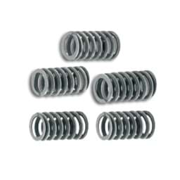 Zeige Details für Rennkupplungsfedern Malossi Derbi Senda (5 Stück) EBS/EBE/D5 Bild von Rennkupplungsfedern Malossi Derbi Senda (5 Stück) EBS/EBE/D5