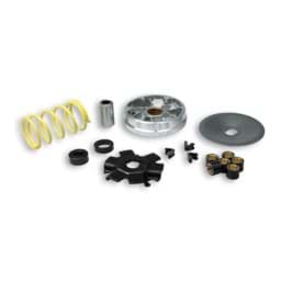 Zeige Details für Rennvariomat Multivar Malossi Piaggio Ciao/SI Bild von Rennvariomat Multivar Malossi Piaggio Ciao/SI