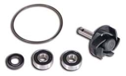 Zeige Details für Revisionskit Wasserpumpe Bild von Revisionskit Wasserpumpe