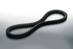 Zeige Details für Keilriemen Malossi X-Kevlar Belt Bild von Keilriemen Malossi X-Kevlar Belt