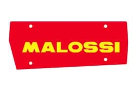 Bild von Luftfiltereinsatz Malossi Red Sponge